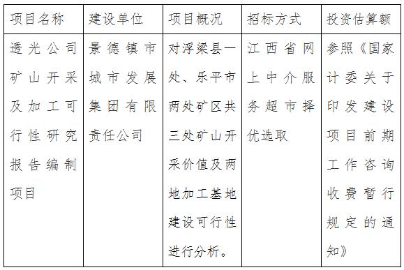 透光公司矿山开采及加工可行性研究报告编制项目计划公告
