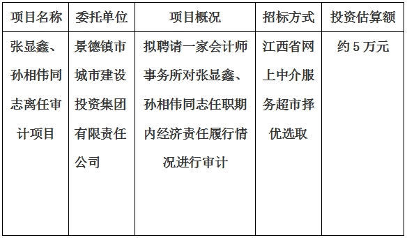 张显鑫、孙相伟同志离任审计项目计划公告